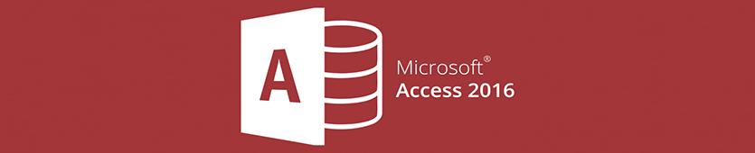 Microsoft Access Excellence