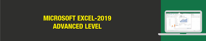 Microsoft Excel - 2019 Advanced Level