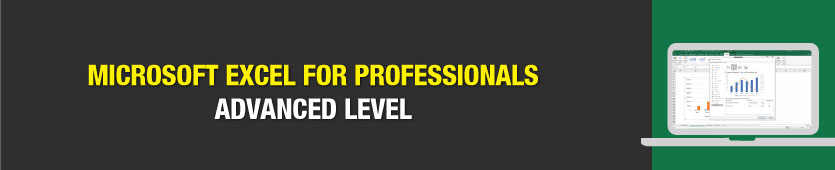 Microsoft Excel For Professionals: Advanced Level