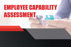 Employee Capability Assessment